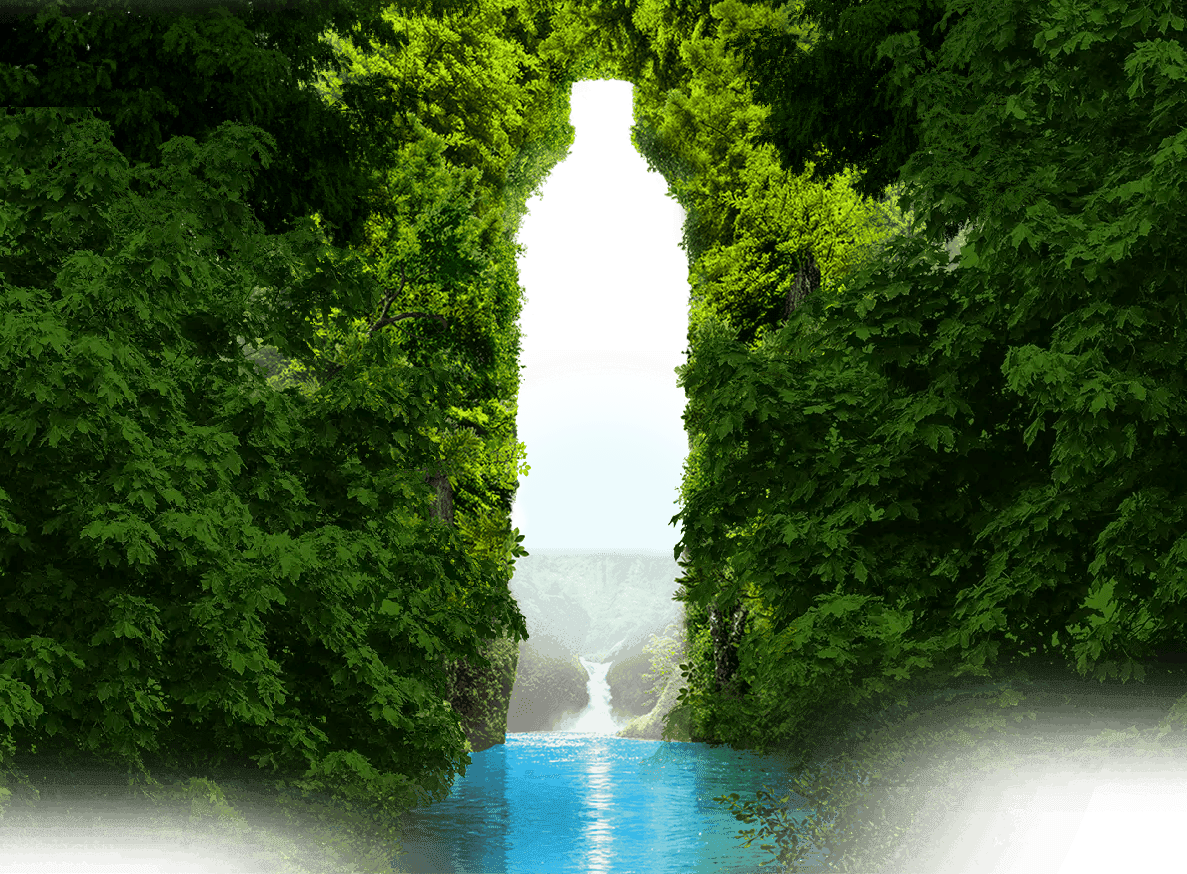 bottle-background
