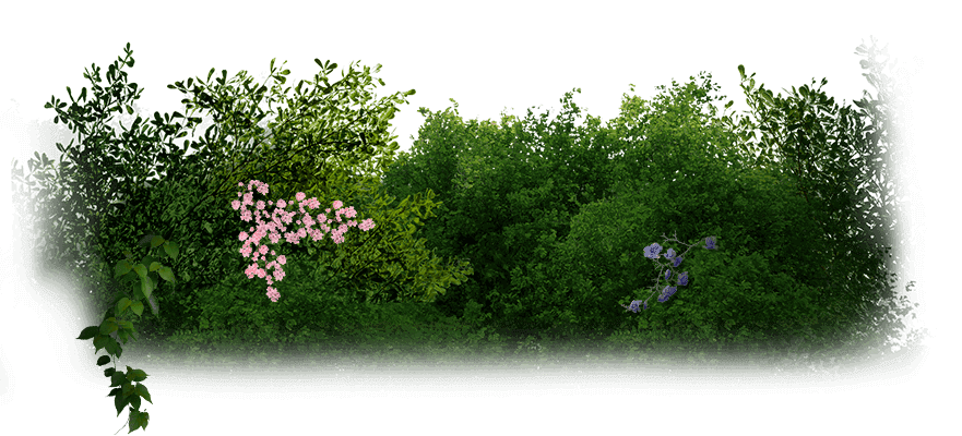 bush-bottom